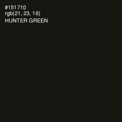 #151710 - Hunter Green Color Image